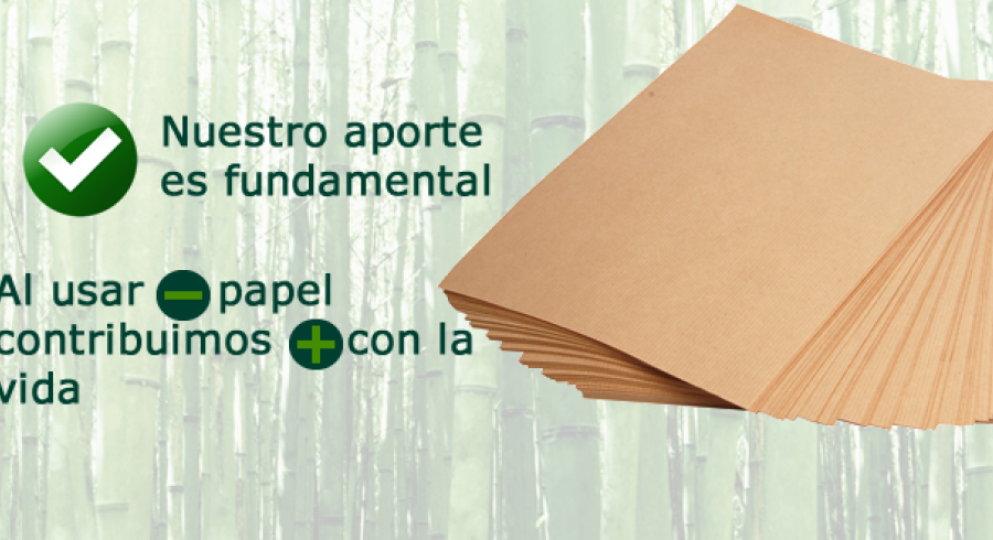 proyecto papel de caña de azucar