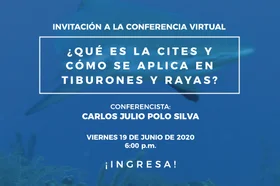 nota-web-tiburones.jpg