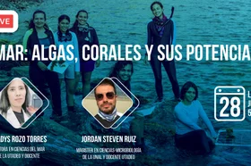 nota_web_el_mar_algas_corales_y_sus_potenciales.jpg