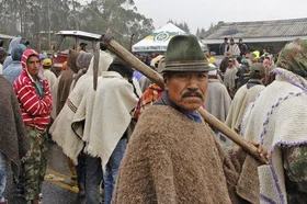 paro234.jpg