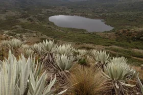 19amfoto_ambiente_mayo_11_m.jpg