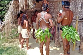 amazon-indians-69589_640_1.jpg