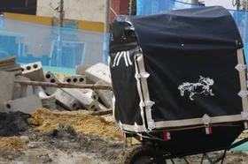 caballo-caido-galeria-neebex.jpg