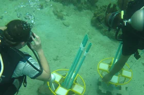 expedicioracios-tecnologias-para-la-preservacion-de-arrecifes-de-coral-foto.jpg
