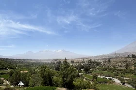 img_8920.jpg
