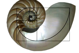 nautilus_withoverlay.jpg
