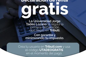 pieza_redes_1_tributi_u._tadeo.jpg