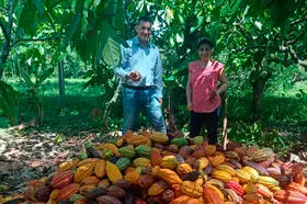 portada.cacao_.utadeo.2022.jpg