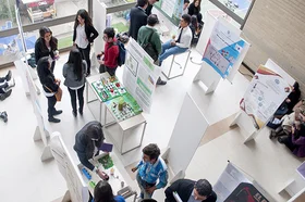 proyectos_1.jpg