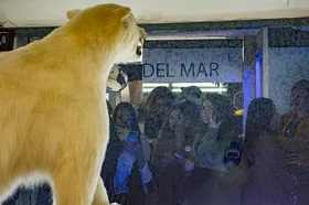 re-apertura_museodelmar1018cv37.jpg