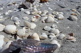 sea-1775385_960_720.jpg