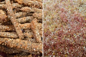 snack-celiacos-utadeo.png