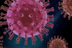 virus-4937553_640_1_0.jpg