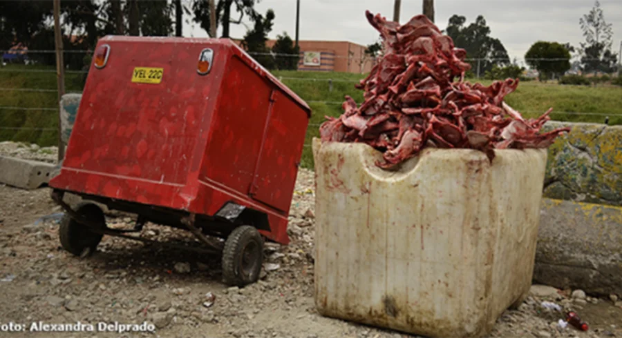 matadero-guadalupe-p.jpg-549x366-1482535446.png