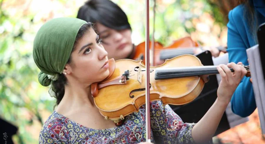 violin.jpg
