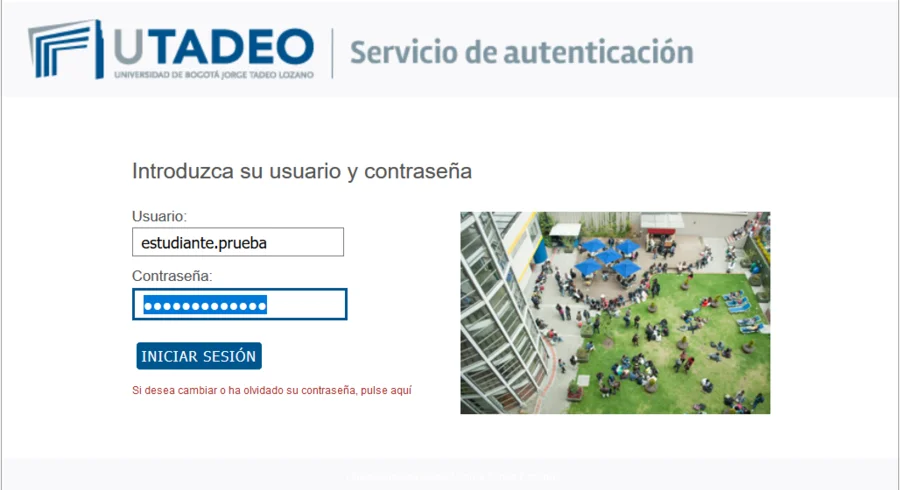 imagen1.png