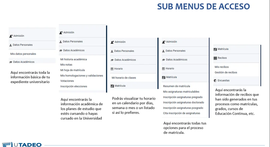 imagen3.png