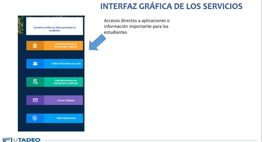 imagen5.png