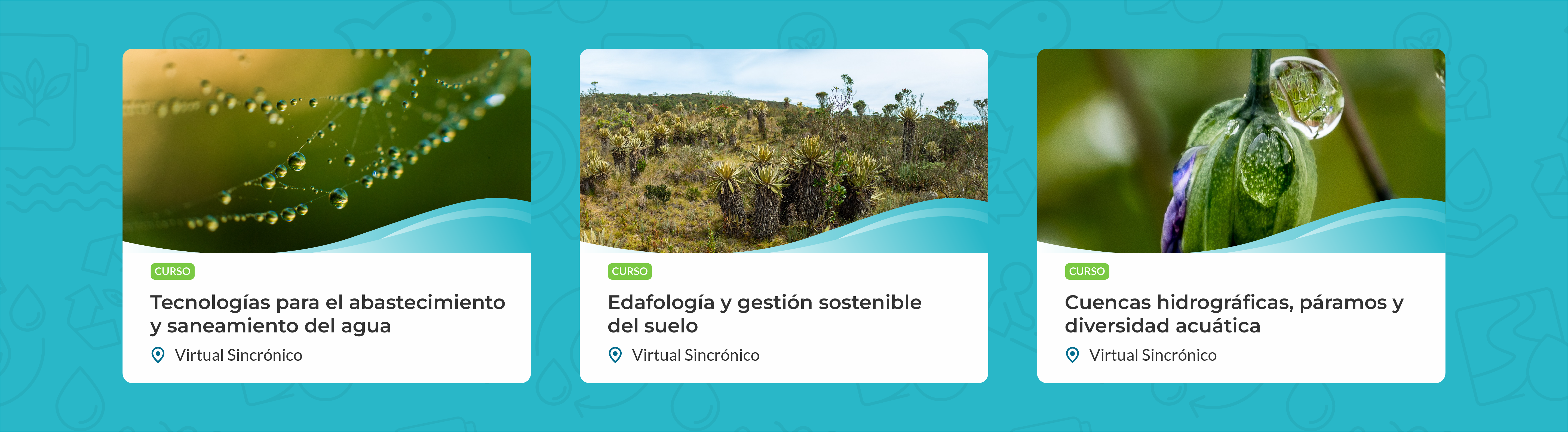 recurso_42