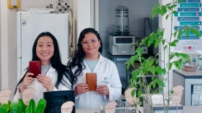 Gembiofert: el bioplástico de mango y fibra de coco que busca reducir el uso de plásticos de un solo uso y aportar a la fertilización sostenible. 
