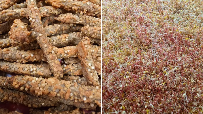snack-celiacos-utadeo.png