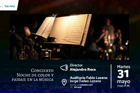31_de_mayo_concierto_noche_de_color_y_paisaje_en_la_musica_nota_web_.jpg
