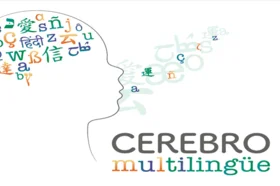 cerebro_multilungue_nota_.fw_.png