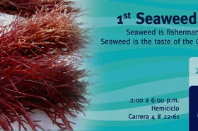 micrositio-seaweed.jpg