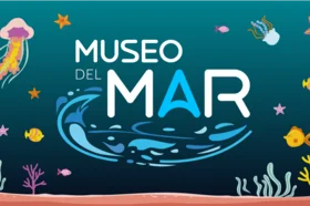 museo_del_mar_nota_web_2.png