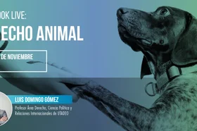 nota_web_derecho_animal.jpg