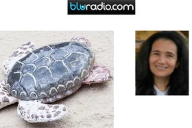 blu-radio-opinion-agmidta.jpg