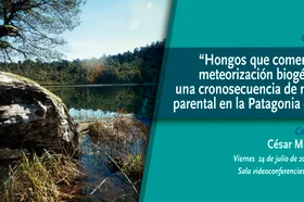 conferencia_hongos_bannermicrositio.jpg