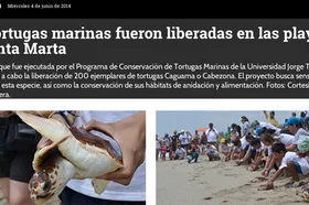 el-tiempo-tortugas.jpg