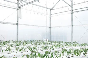 hortisumulador.centrodebiosistemas.universidadjorgetadeolozano.fotos_.fotografias.chia_.colombia.utadeo.tadeo_.portada.2.jpg