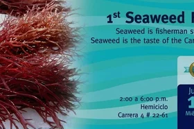 micrositio-seaweed_3.jpg
