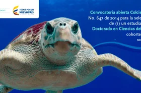 nota-doctorado.jpg