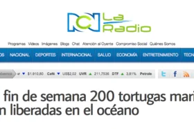 rcn-radio-tortugas.png