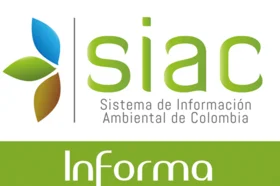 sin-titulo-12.gif