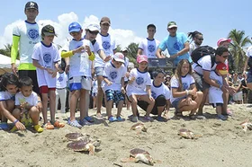 tortugas-liberadas.jpg