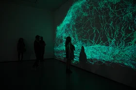 xenopaisajes.festivaldelaimagenutadeo2023.1.jpg