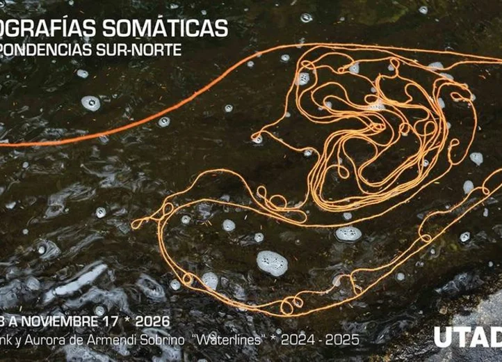 coreografías somáticas