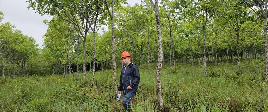 Bonos de carbono: qué son, cómo funcionan y por qué la ciencia es clave para saber cuánto carbono capturan los bosques 
