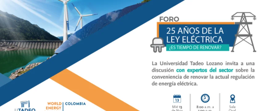 25-anos-ley-electrica-nota_micro.jpg