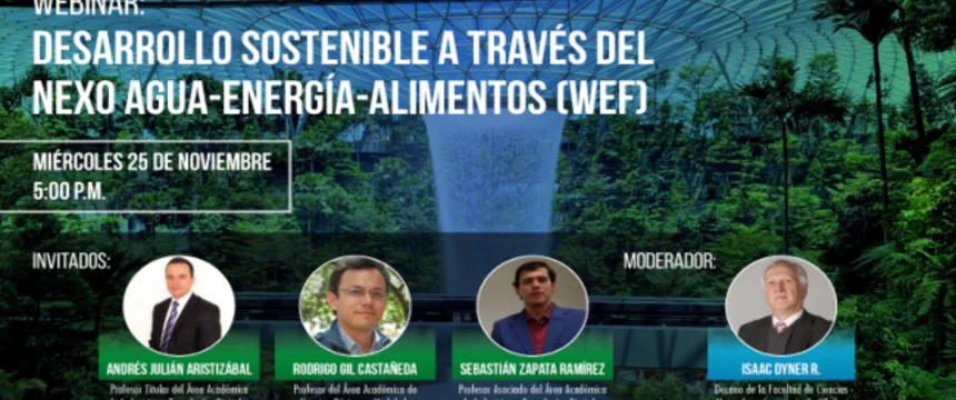 desarrollo_sostenible_webinar_desarrollo_sostenible_a_traves_del_nexowef.png