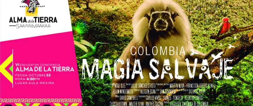 magia_salvaje-01.jpg