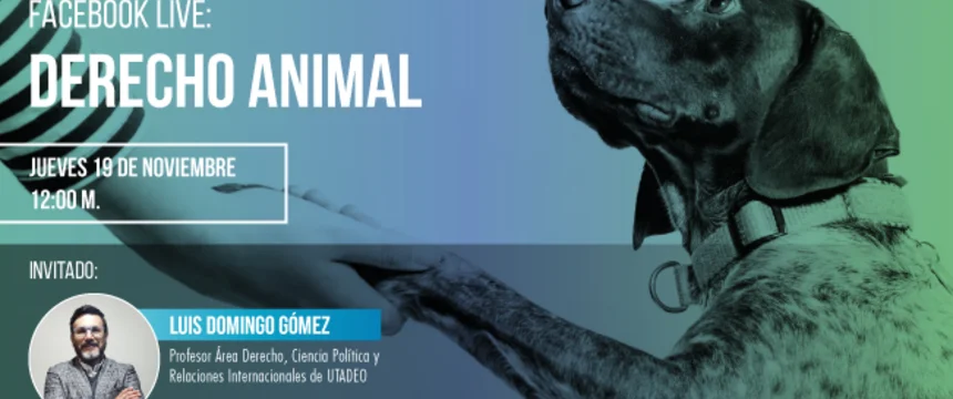 nota_web_derecho_animal.jpg