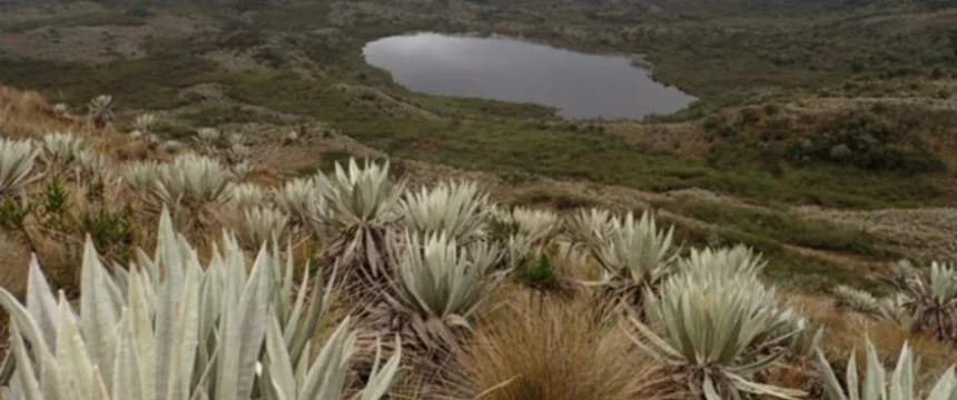 19amfoto_ambiente_mayo_11_m.jpg