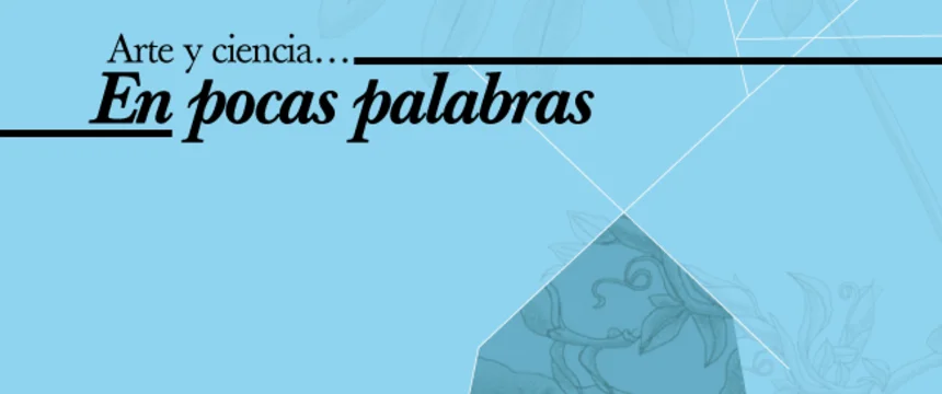 concurso-pocas-palabras.png