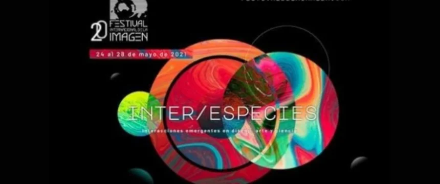 fest-imagen.jpg