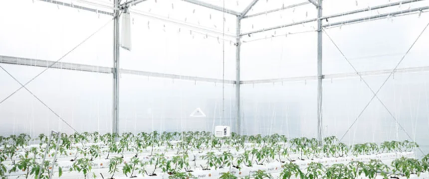hortisumulador.centrodebiosistemas.universidadjorgetadeolozano.fotos_.fotografias.chia_.colombia.utadeo.tadeo_.portada.2.jpg